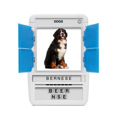 100 PICS Dogs Travel Game answer reveal sequence confirms the breed after guessing.