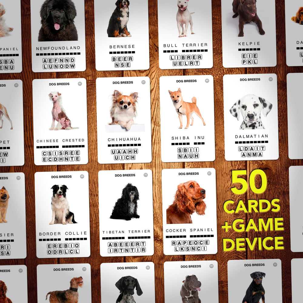 100 PICS Dogs Travel Game family play setup for together, screen-free fun.