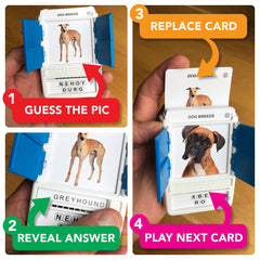 100 PICS Dogs Travel Game flashcards collection supports quick breed practice.