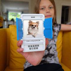 100 PICS Dogs Travel Game travel-friendly set keeps kids engaged on journeys.