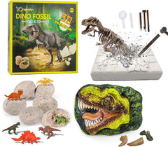 10Leccion dinosaur head fossil invites young scientists to explore hands-on paleontology