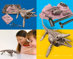 4M Mosasaurus display-ready skeleton after completion.
