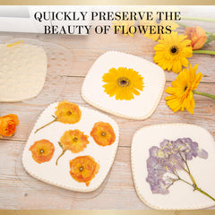 Aboofx gift-ready packaging highlights a thoughtful keepsake for nature lovers