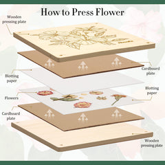 Aboofx women's day flowers preserved for thoughtful gifts