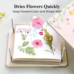 Vivid pressed flowers showcase preserved color and detail from the kit