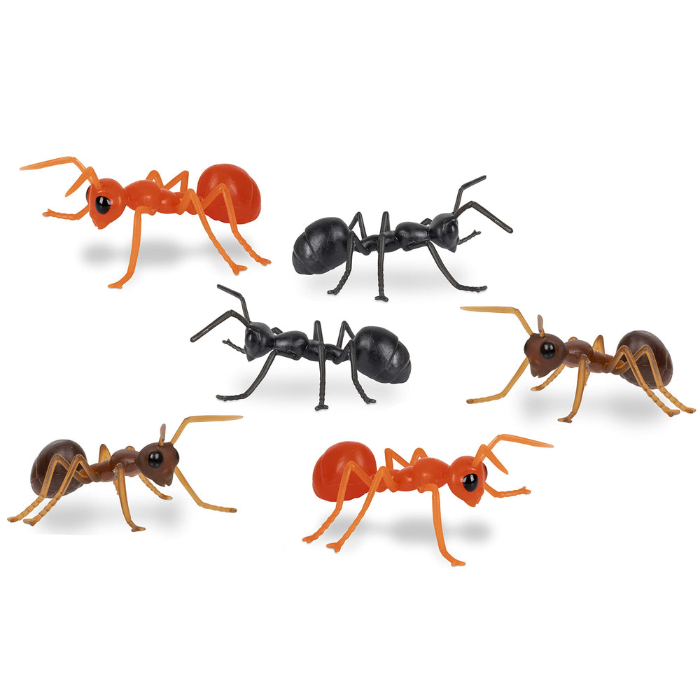 Accoutrements Archie McPhee 7 cm ants provide playful scale and impact