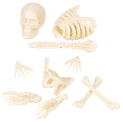 Accoutrements Itty Bitty Bones glow in the dark for tiny Halloween dioramas.