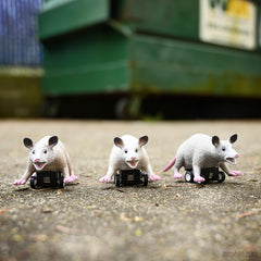 Accoutrements Racing Possums pull-back action powered by floor ramp for instant start.
