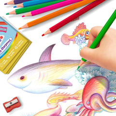 Aigybobo non-toxic wood pencils meet safety expectations while offering smooth color application.