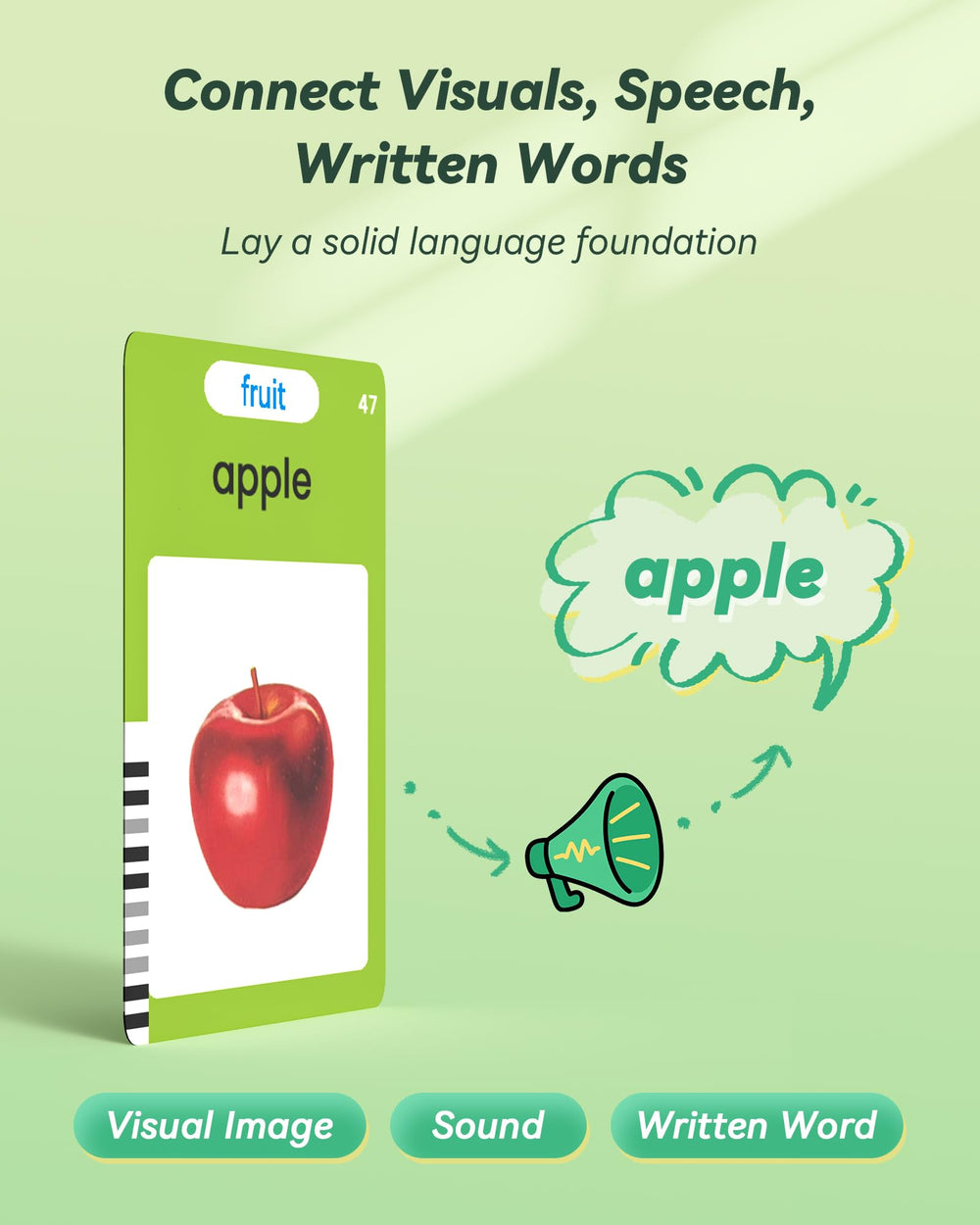 Airbition Flash Cards themes like animals and daily life boost exposure.