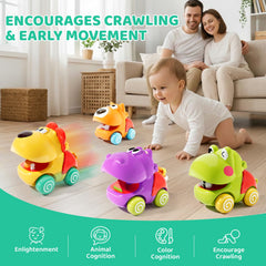 ALASOU Push and Go packaging for easy travel.