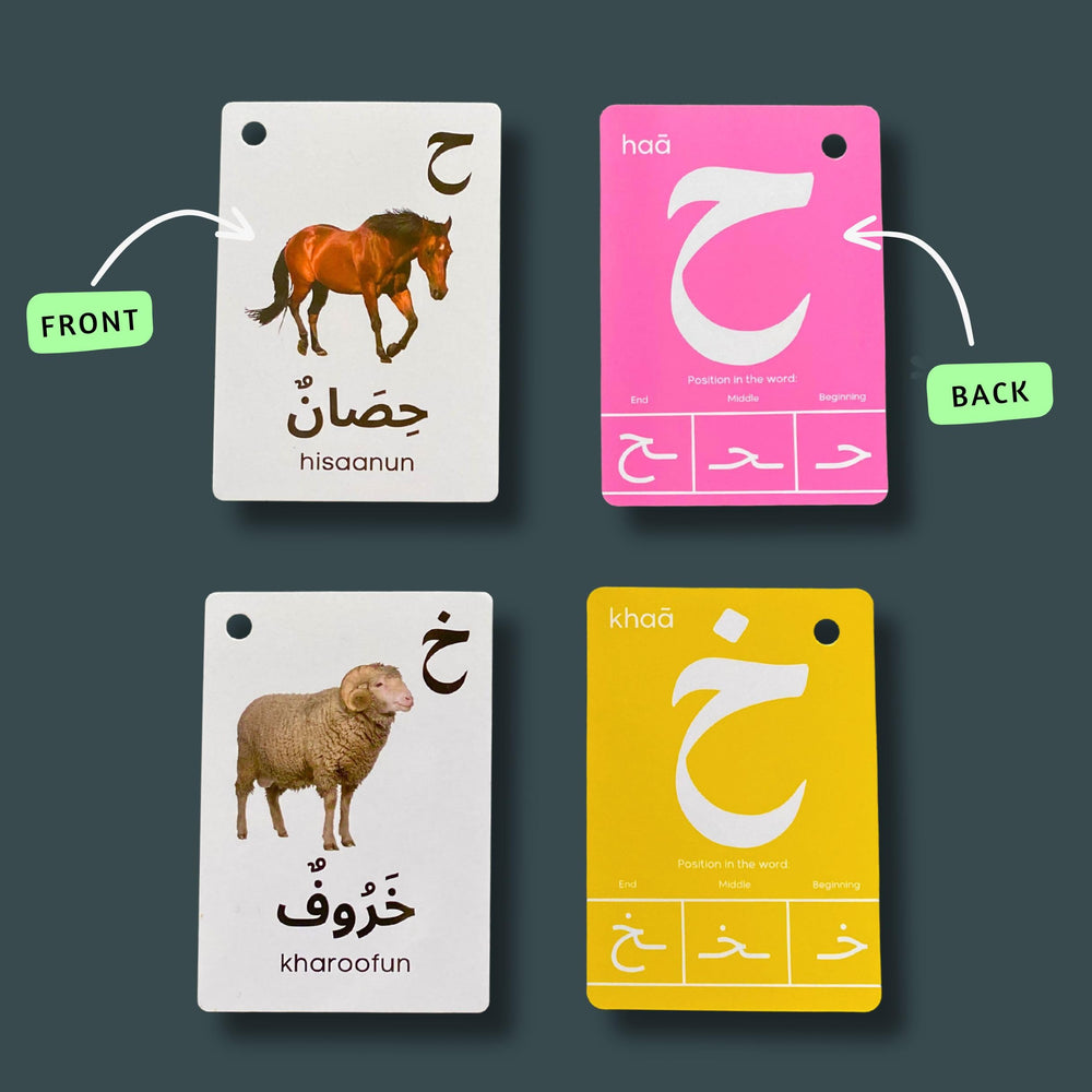 Albidaya Arabic Alphabet Flash Cards for kids with laminated, durable surfaces