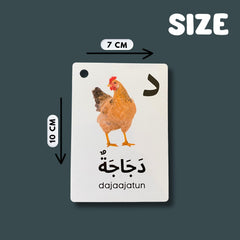 Albidaya colorfully designed Arabic vocabulary flash cards for interactive study