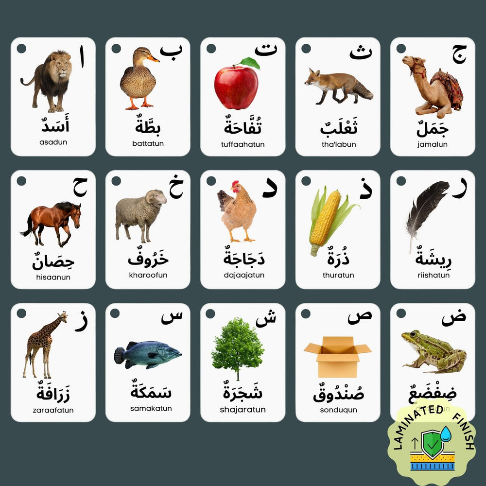 Albidaya laminated flash cards 70x100 mm designed for easy handling