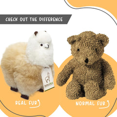 AlpacaNext decor shot suitable for nursery, desk, or shelf display.