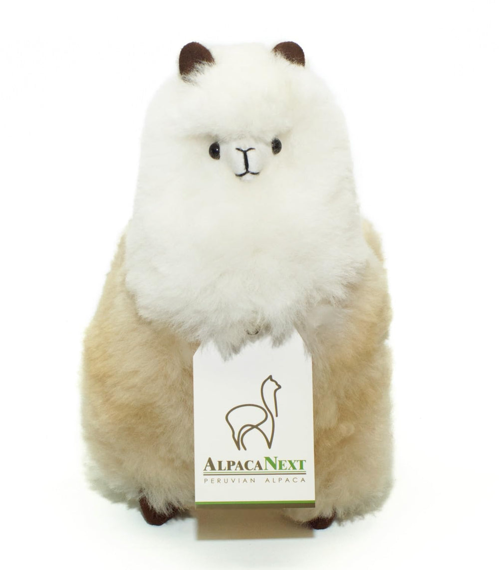 AlpacaNext face detail with gentle eyes and small ears for lifelike charm.