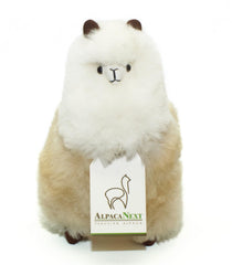 AlpacaNext face detail with gentle eyes and small ears for lifelike charm.
