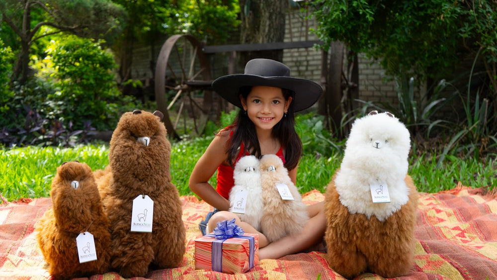 AlpacaNext gift-ready packaging makes it an ideal present.