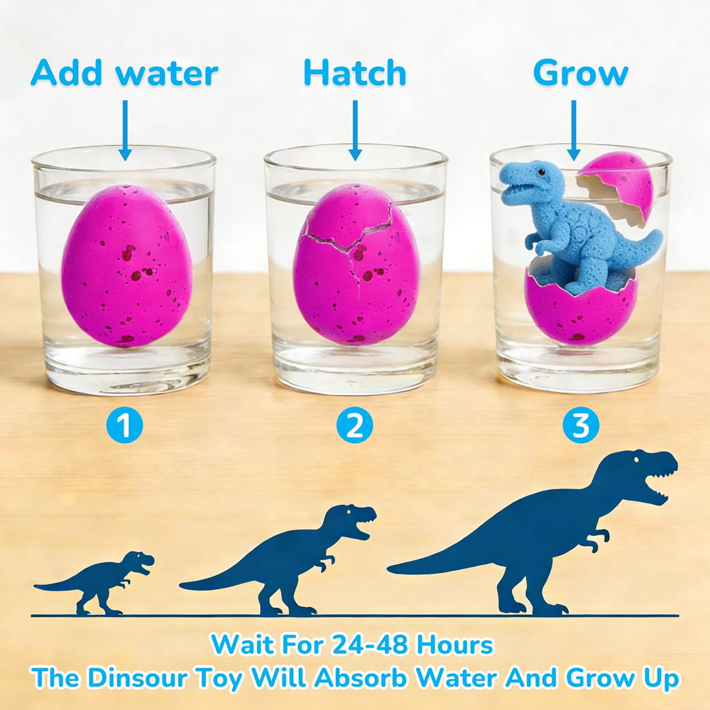 AMENON dinosaur eggs hatch in warm water, sparking curiosity and a sense of anticipation.