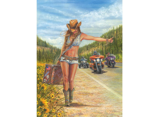 Anatolian American Gypsy 1000-piece puzzle artwork with vibrant colors for a rewarding challenge.