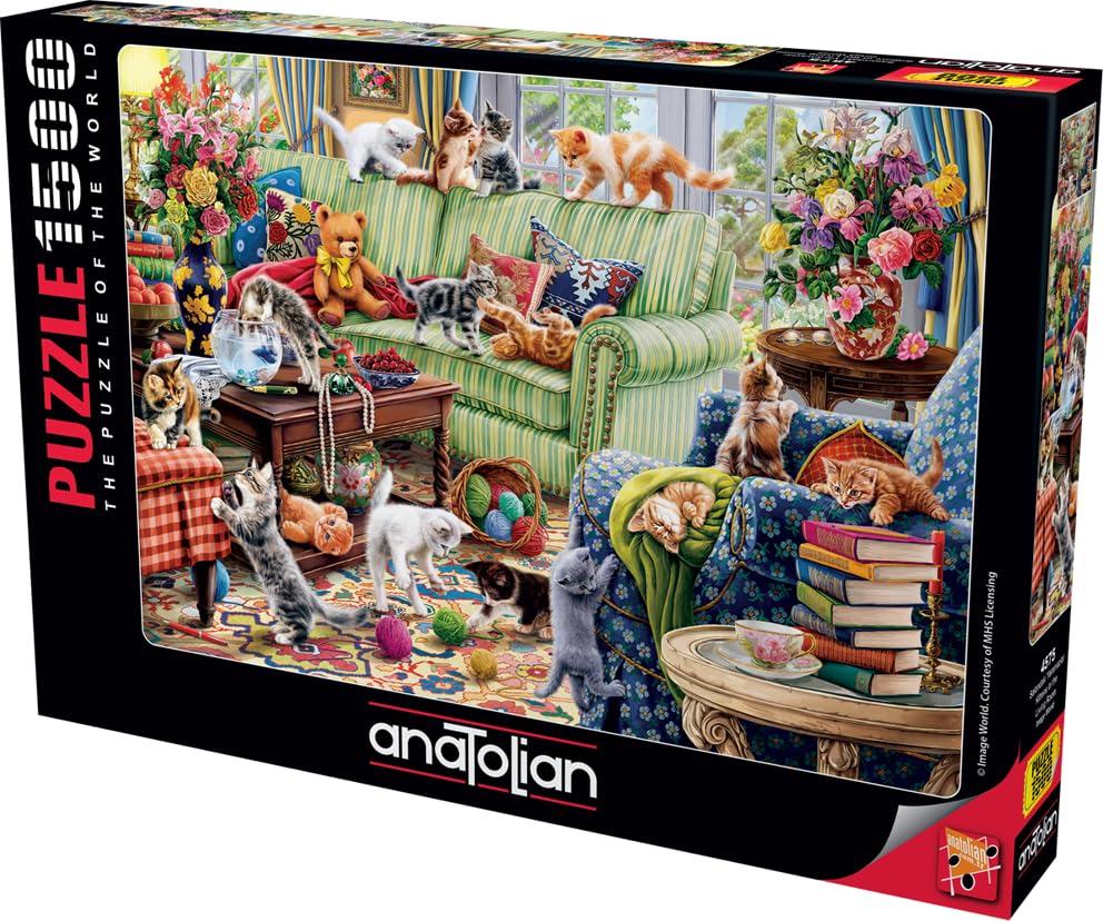 Anatolian Puzzle kittens on sofa, relaxing scene that sparks focus
