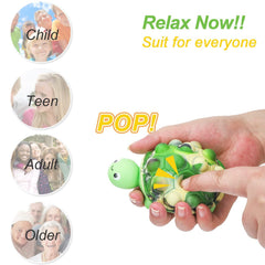 Anboor Pop Fidget Turtle colors highlight the eye-catching design for kids.
