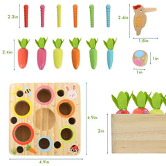 Ancaixin Montessori toys: shape-sorting play to improve fine motor skills