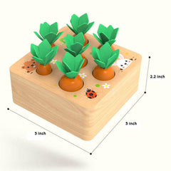 Ancaixin natural pine wood with water-based finish highlights safe material.