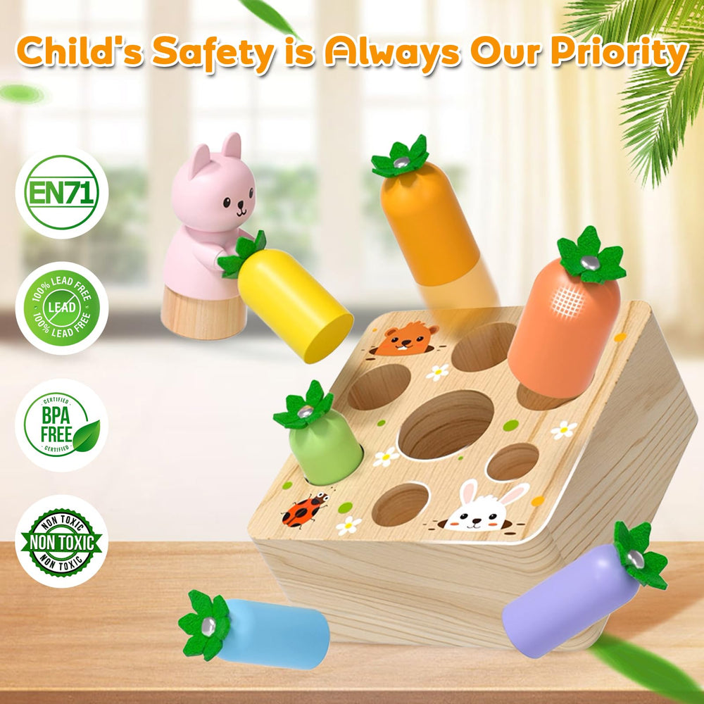 Ancaixin natural pine wood emphasizes safe, non-toxic materials for play.