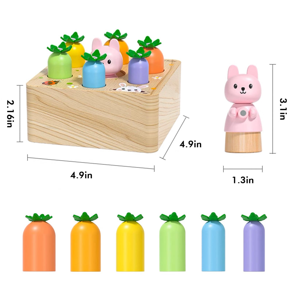 Ancaixin shape sorting color recognition supports fine motor development.