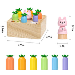 Ancaixin shape sorting color recognition supports fine motor development.