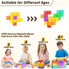 Apluses sensory blocks with clicking sounds for autism friendly tactile engagement