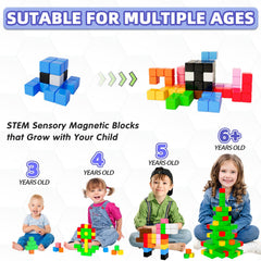 Apluses magnetic blocks connecting easily for creative structure builds.