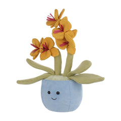 Apricot Lamb potted butterfly orchid plush care detail, easy cleaning routine.