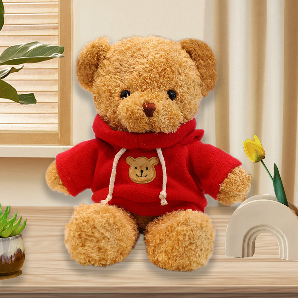 AUCOOMA gift-ready teddy bear perfect for birthdays and holidays