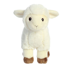 Aurora Eco Nation Lamb bottle tag emphasizes sustainable materials.