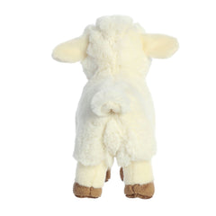 Aurora Eco Nation Lamb safe for all ages with no beans.