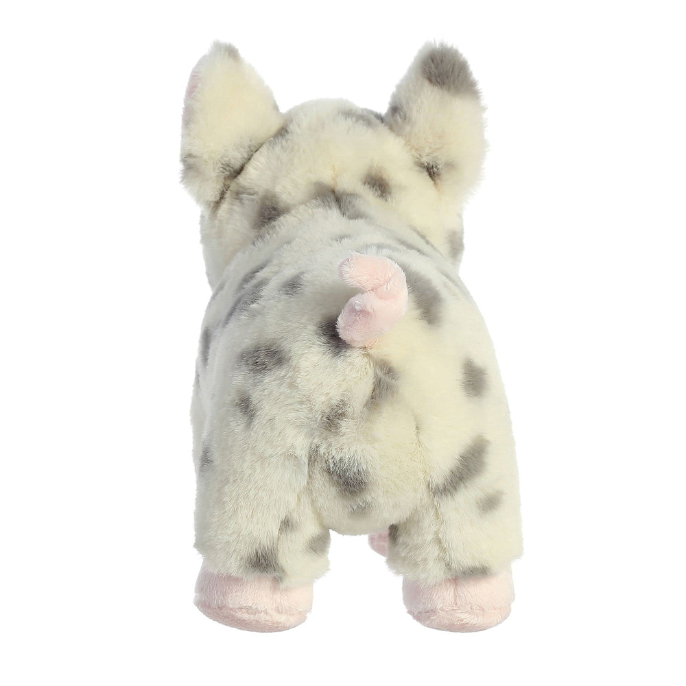 Aurora Eco Nation Spotted Pig safe for all ages with no beans