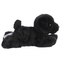 Aurora Blackie floppy-ears closeup showcases cuddly, friendly appeal.