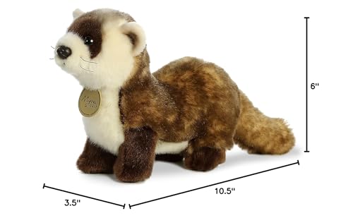 Aurora Miyoni Ferret hang tag info emphasizes species details.