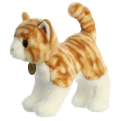 Aurora Miyoni orange tabby cat hang tag with species information for education