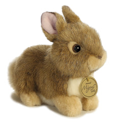 Aurora Miyoni Tots Bunny in pose for cuddling and display