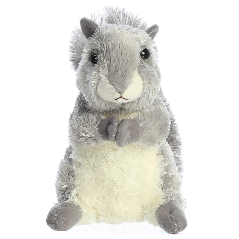 Aurora Nutty with soft grey fur ideal for comforting hugs and close-up play.