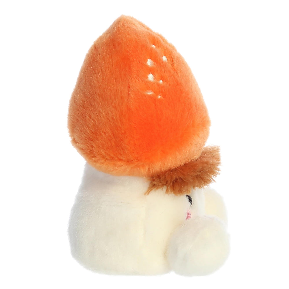 Aurora Fabian Fluffy Mushroom body emphasizing soft plush feel and collectibility.