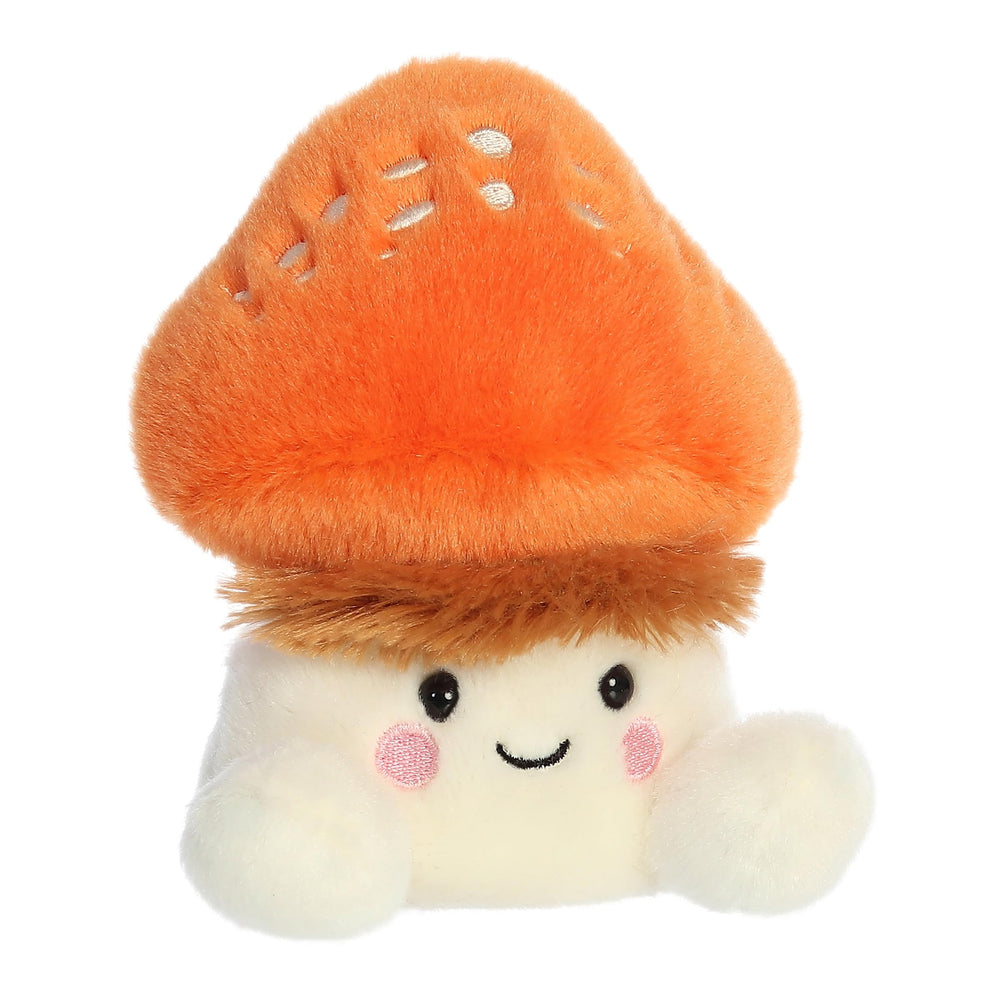 Aurora Fabian Fluffy Mushroom face showing friendly expression for gifting.