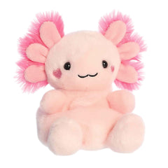 Xena's rosy cheeks add charm, ideal for room decor and playful moments.