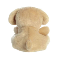 Sunny Lab's compact size makes it ideal for travel fun.