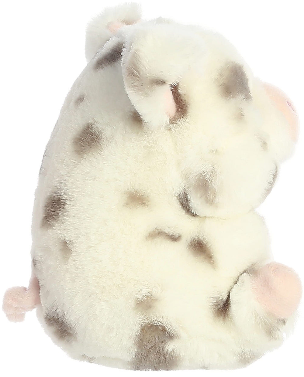 Aurora Playful Rolly Pet Periwinkle Pig paws-up pose for cozy fun