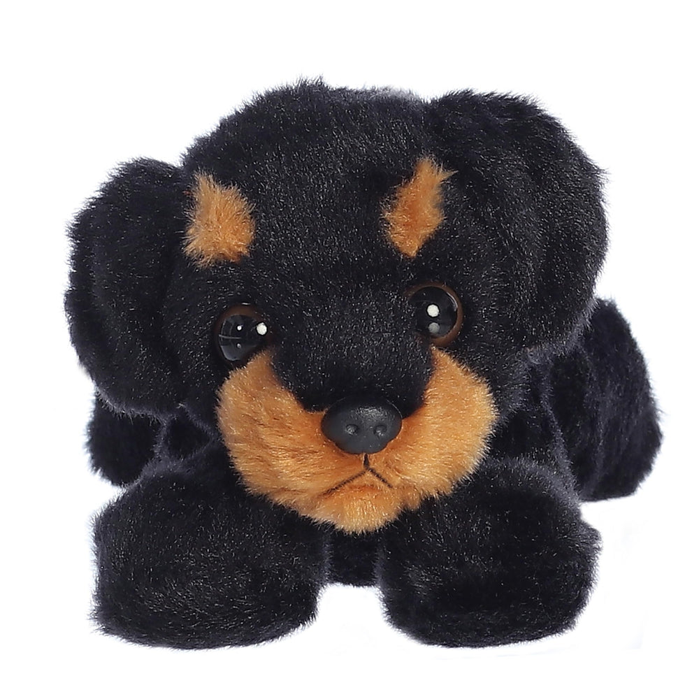Aurora Raina soft fur texture invites gentle hugs and cozy shelf display.