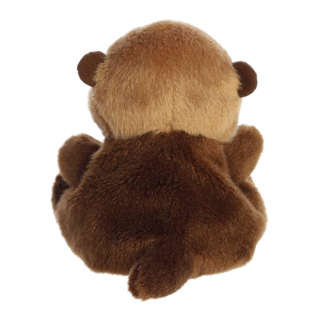 Aurora Selena Sea Otter plush packaging ready for display and gifting.